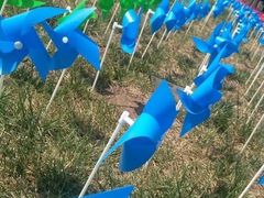 -武清南湖绿博园