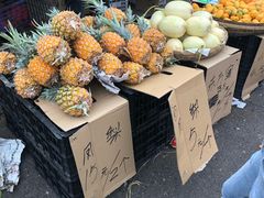 -红星农博物流中心