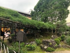 -中村藤吉(本店)