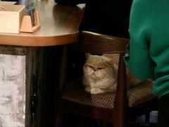 -Double cafe