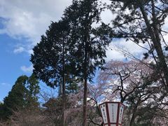 -醍醐寺
