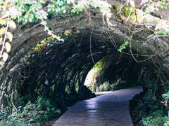 -广西壮族自治区药用植物园