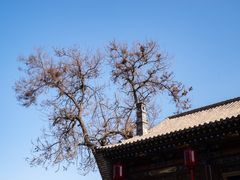 -平遥古城