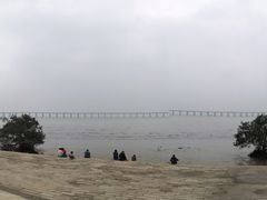 -宝安西湾红树林湿地公园