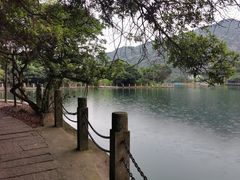-大罗山风景区
