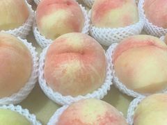 -老袁家蜜桃农场·阳山水蜜桃