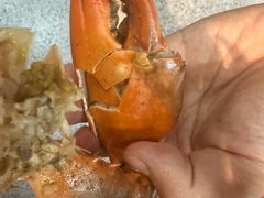 -养牛邓·潮汕牛肉海鲜自助火锅(广州店)