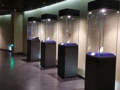 -鄂尔多斯青铜器博物馆