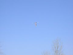 -洨河生态公园