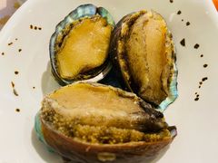 鲍鱼-金环海鲜自助(大坪时代天街店)
