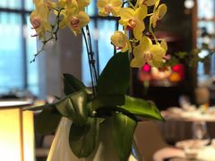 -金海华·悦食东方(苏州中心商场店)