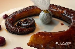 Braised Octopus in Sauce