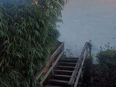 -九龙湾·御膳坊(九龙窠路店)