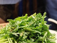 -煲煲好(朝阳门店)