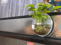 -渝乡辣婆婆·川菜 水煮鱼(中山西路店)