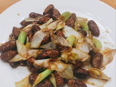 干煸茧蛹-长发饭店(西南路店)