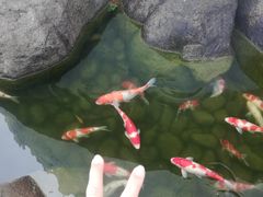 -罗红摄影艺术馆