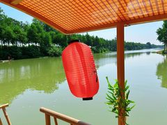 -合肥滨湖国家森林公园