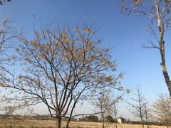 -嘉北郊野公园