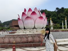 -乐山市博物馆