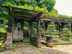 -南山植物园