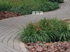 -北京市劳动人民文化宫(太庙)