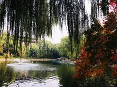 -钓鱼台国宾馆