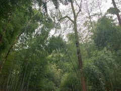 -敬亭山风景名胜区