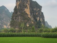 -明仕田园