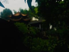 -杭州黄龙洞