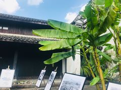 -月湖美术馆