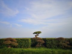 -苏州太湖国际会议中心