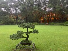 -申粤轩酒楼·三十年粤菜经典(丁香花园店)