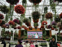 -上海鲜花港