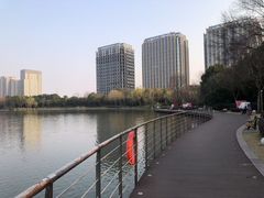 -南翔镇银翔湖公园