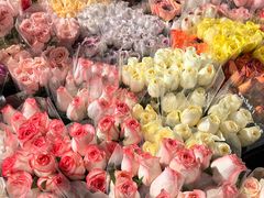 -循礼门鲜花花市(武汉循礼门店)