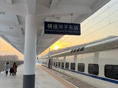 -横道河子东北虎林园