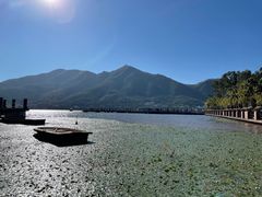 -西昌邛海湿地
