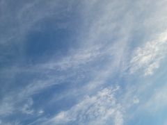 -武陵山森林公园
