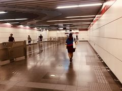 -大望路(地铁站)