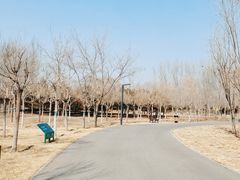-东郊湿地公园
