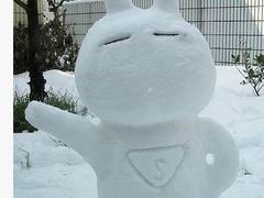 -亚玛达电器