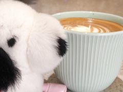 -Radar Coffee(思南路店)