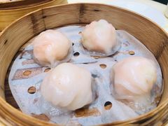 渔村野生虾饺皇-南海渔村(珠江新城店)