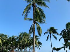 -三亚亚龙湾天域度假酒店