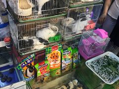 -双季花艺园艺市场(浦东店)