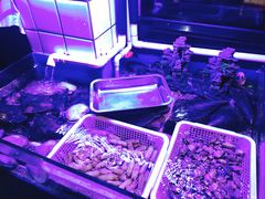 -路边摊小炉子烧烤