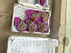 -马陆小张葡萄园农家乐