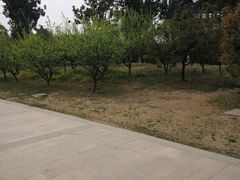 -祥源·阜阳生态乐园