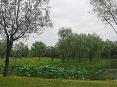 -东郊湿地公园